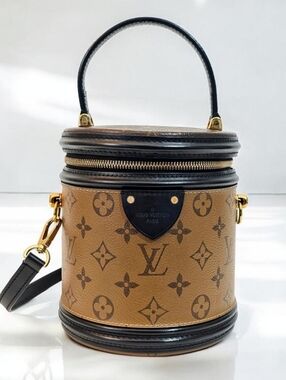 ✨️Authentic Louis Vuitton Cannes Reverse Monogram Crossbody Bag